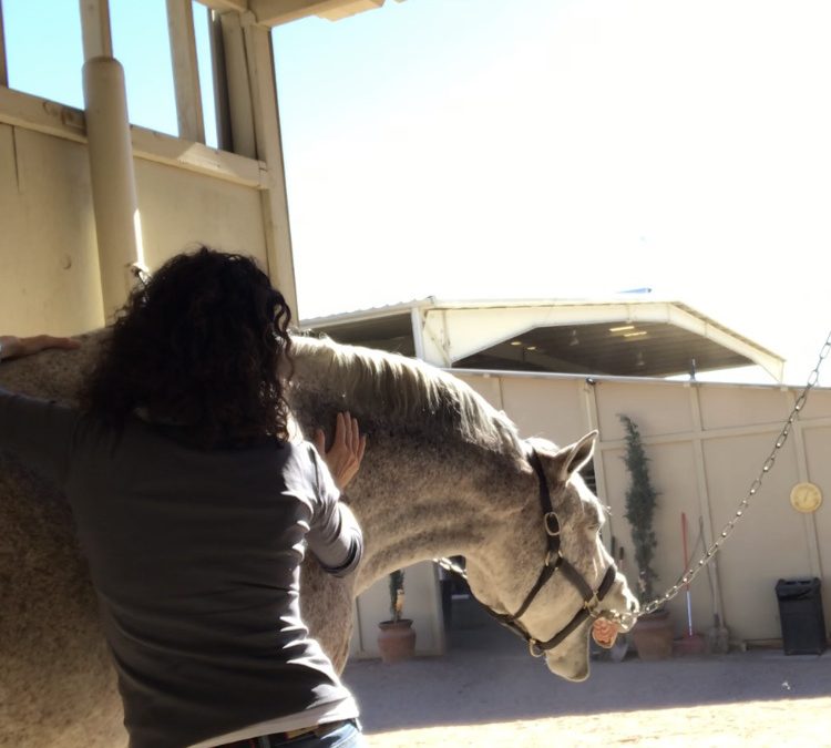 How Bodywork Accelerates True Recovery