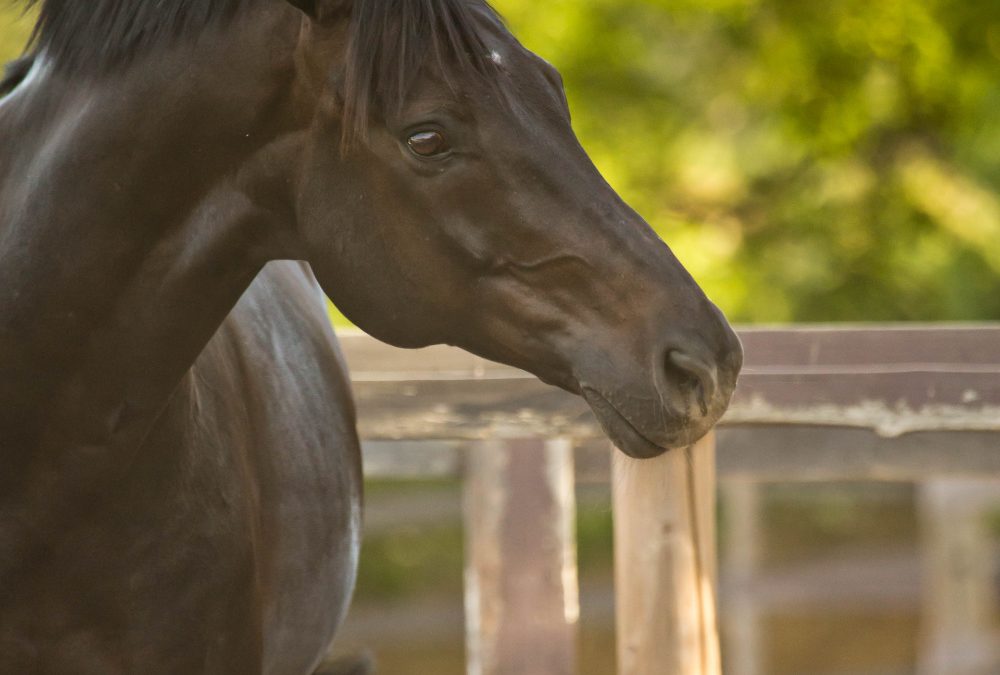 Why Rest Alone isn’t Enough