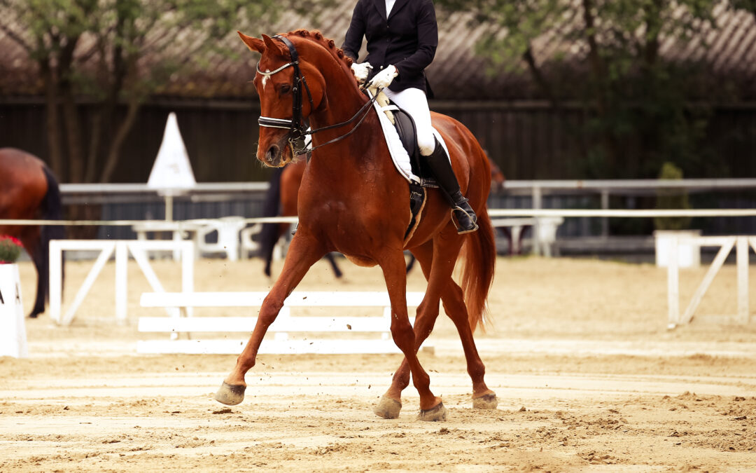 Managing Tension in You and Your Horse